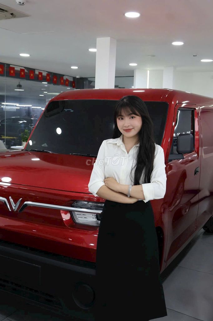 VinFast EC VAN - ảnh 1
