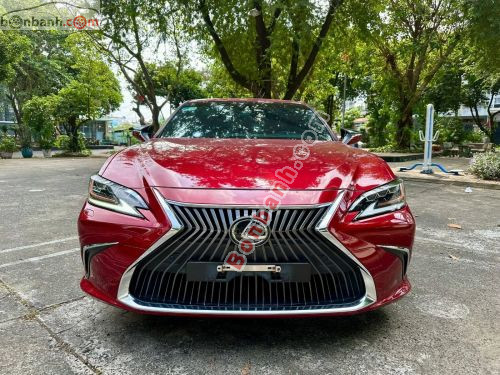 Lexus ES 250 2022 - ảnh 1