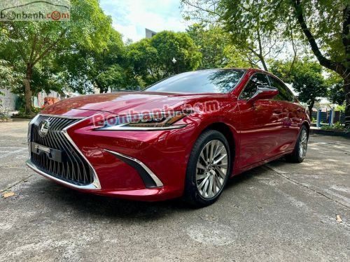 Lexus ES 250 2022 - ảnh 2
