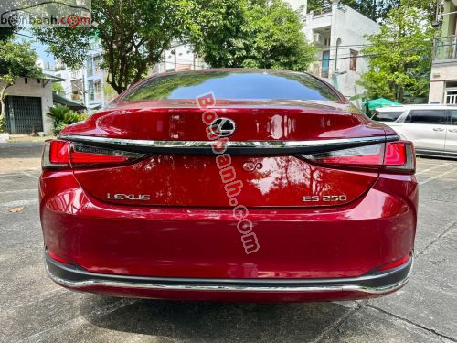 Lexus ES 250 2022 - ảnh 3