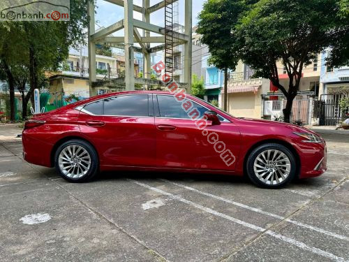 Lexus ES 250 2022 - ảnh 4