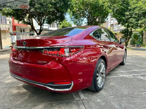 Lexus ES 250 2022 - ảnh 5