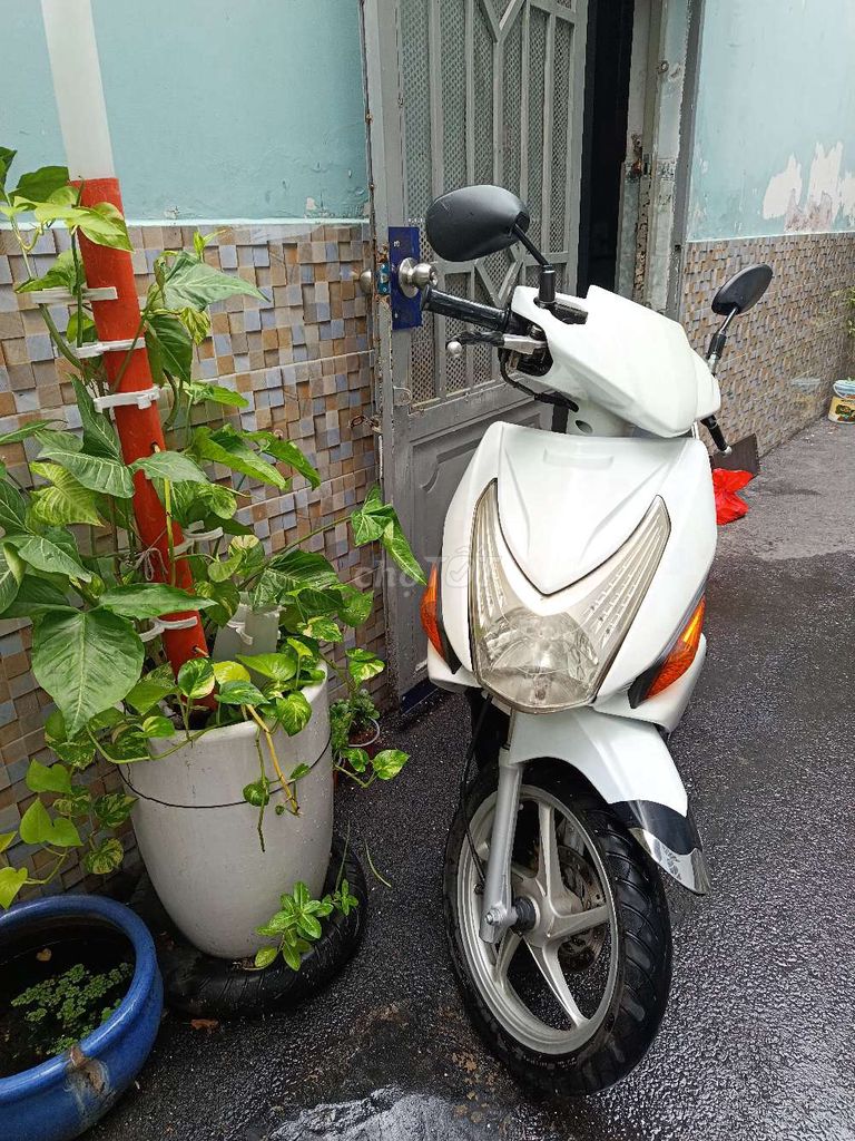 Honda Click 2009 - ảnh 3