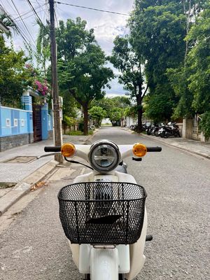 Cup 2019 - ảnh 1