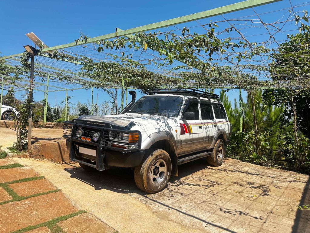 Toyota Land Cruiser 1991 - ảnh 3
