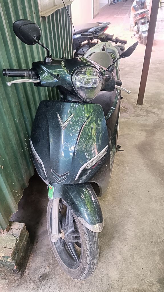 Xe m 2025 - ảnh 1