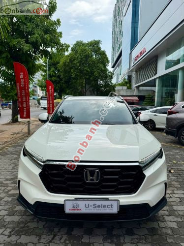 Honda CRV L 2025 - ảnh 1