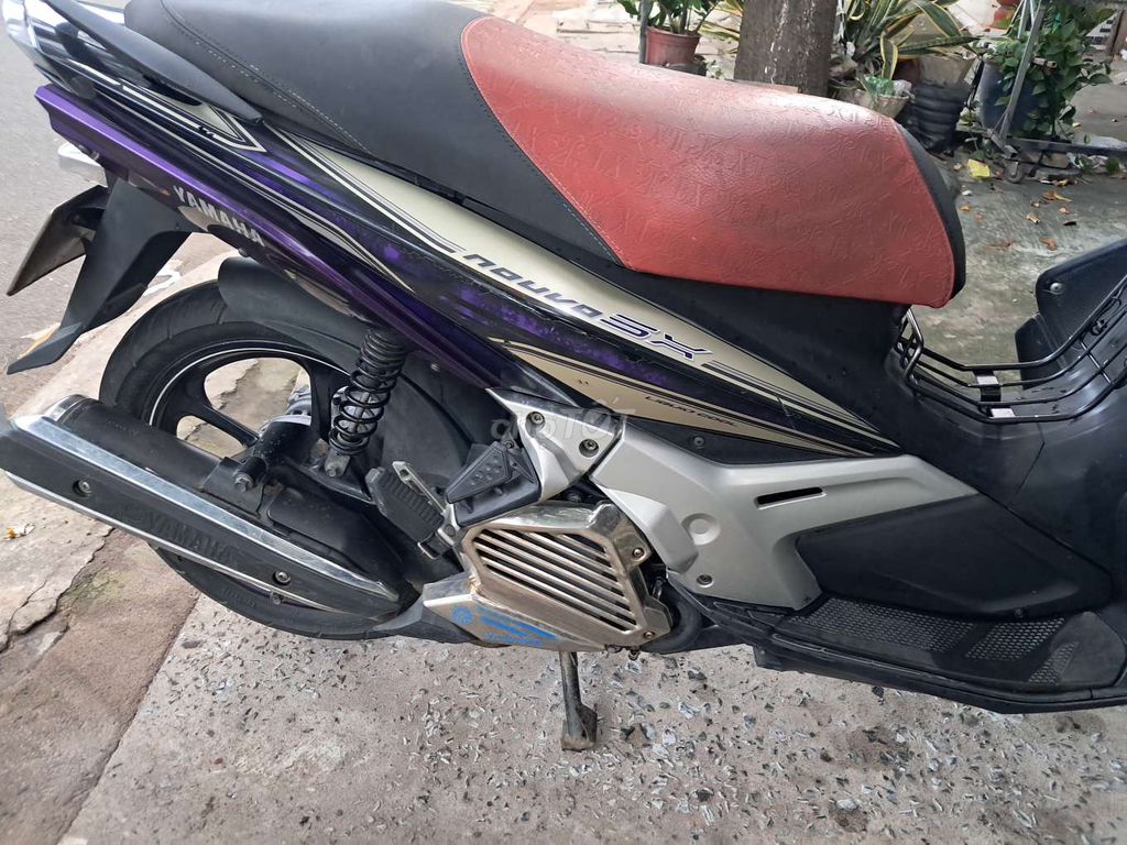 Novo 2012 - ảnh 5