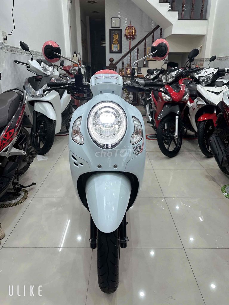 Honda Scoopy 2022 - ảnh 1