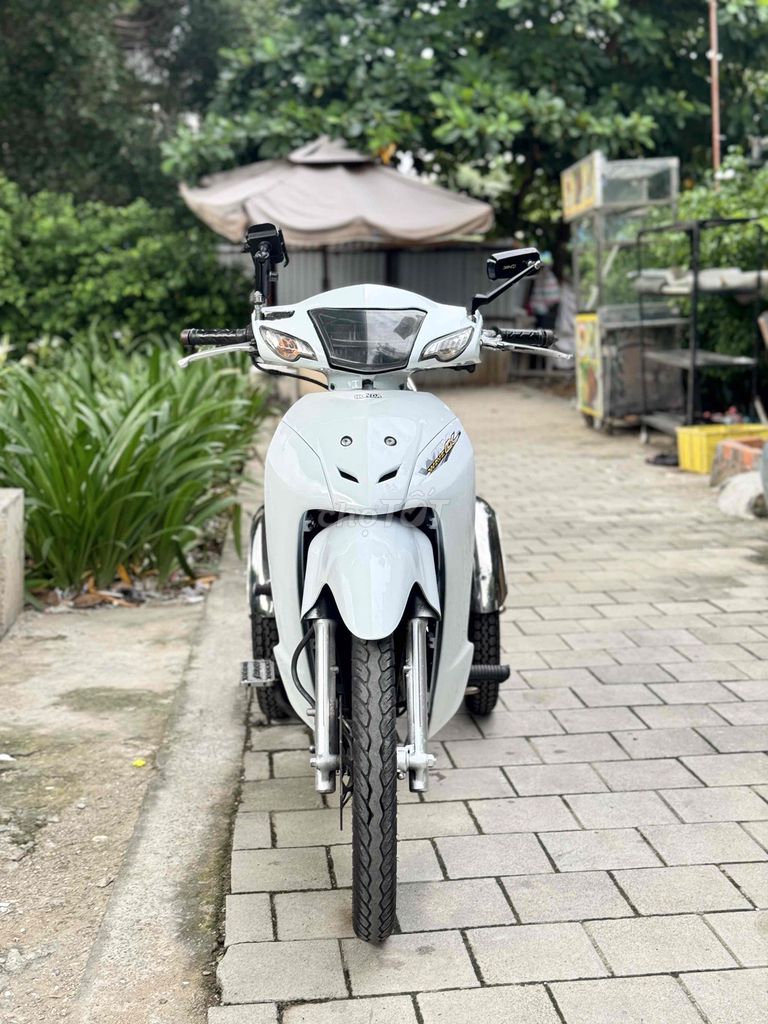 Honda Wave 2008 - ảnh 1