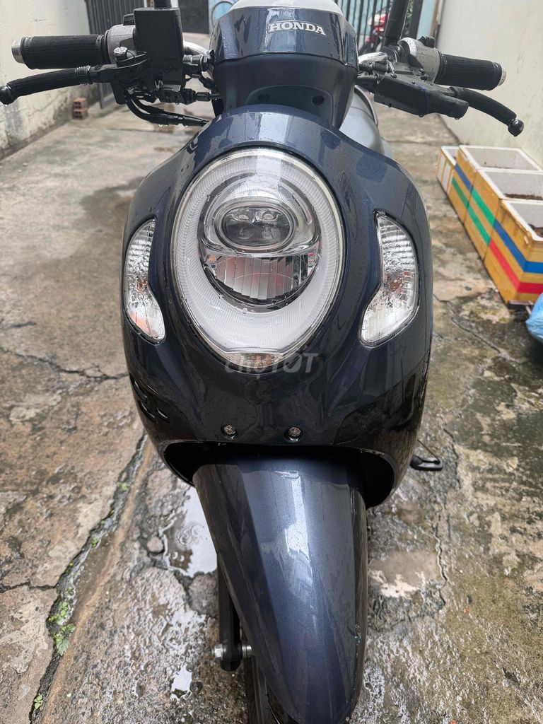 Honda Scoopy 2024 - ảnh 1