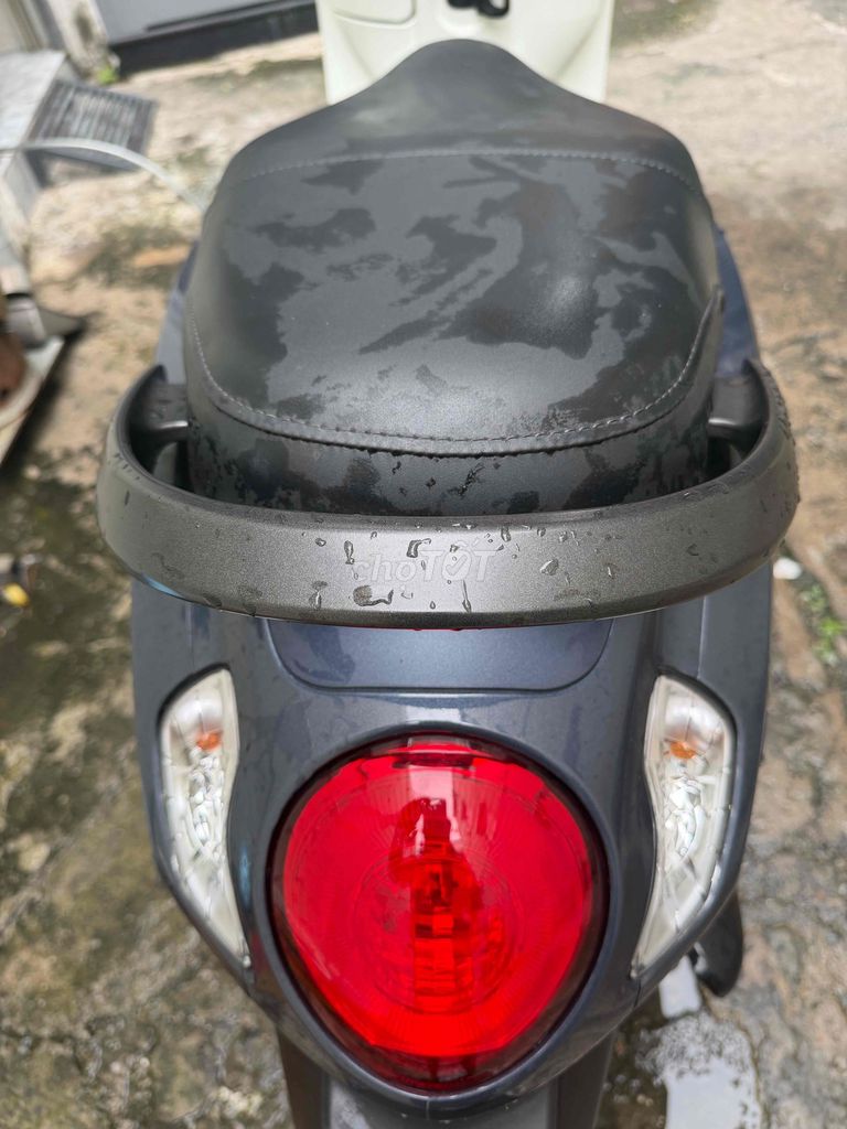 Honda Scoopy 2024 - ảnh 5