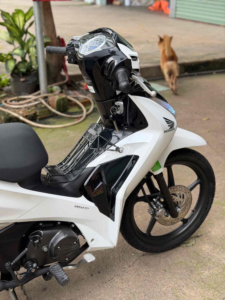Honda Future 2024 - ảnh 4
