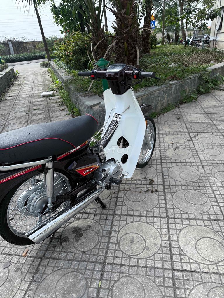 Honda Dream 2008 - ảnh 4