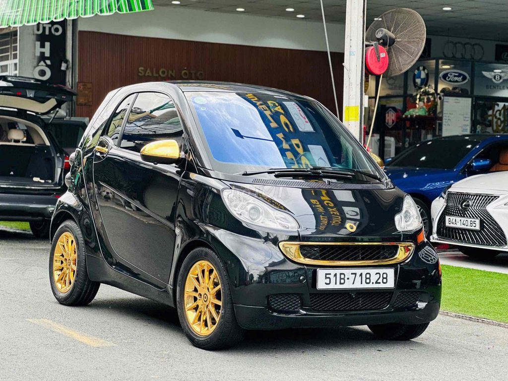 Smart 2010 - ảnh 1