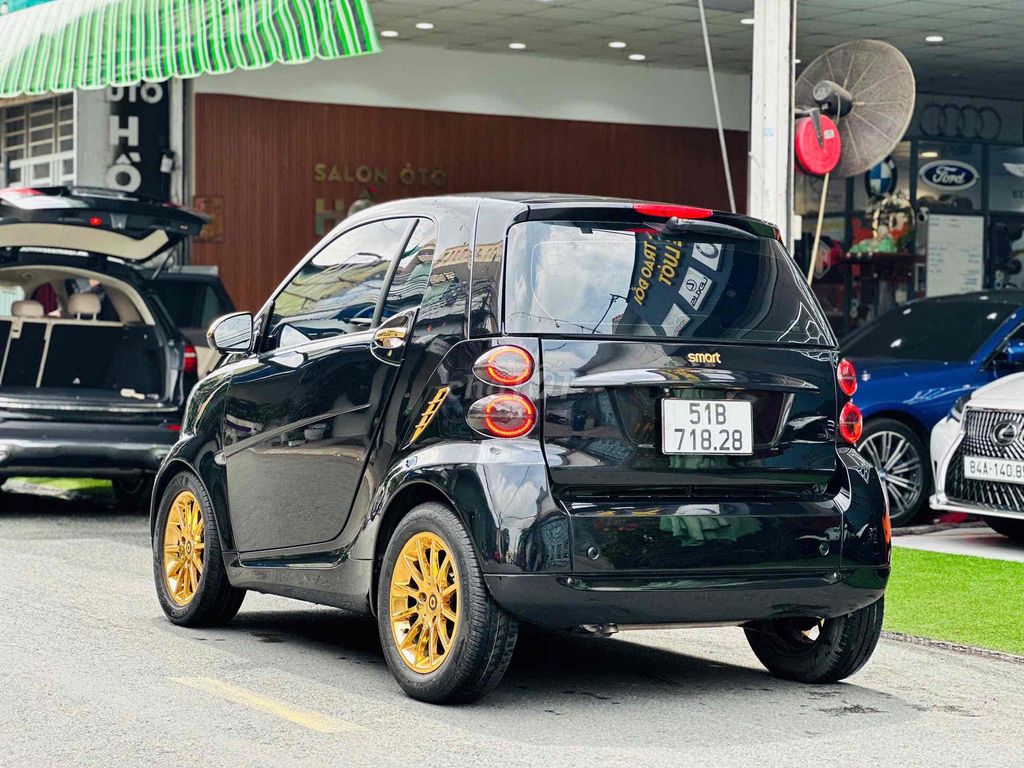 Smart 2010 - ảnh 2