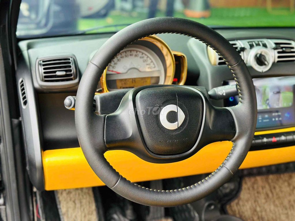 Smart 2010 - ảnh 3