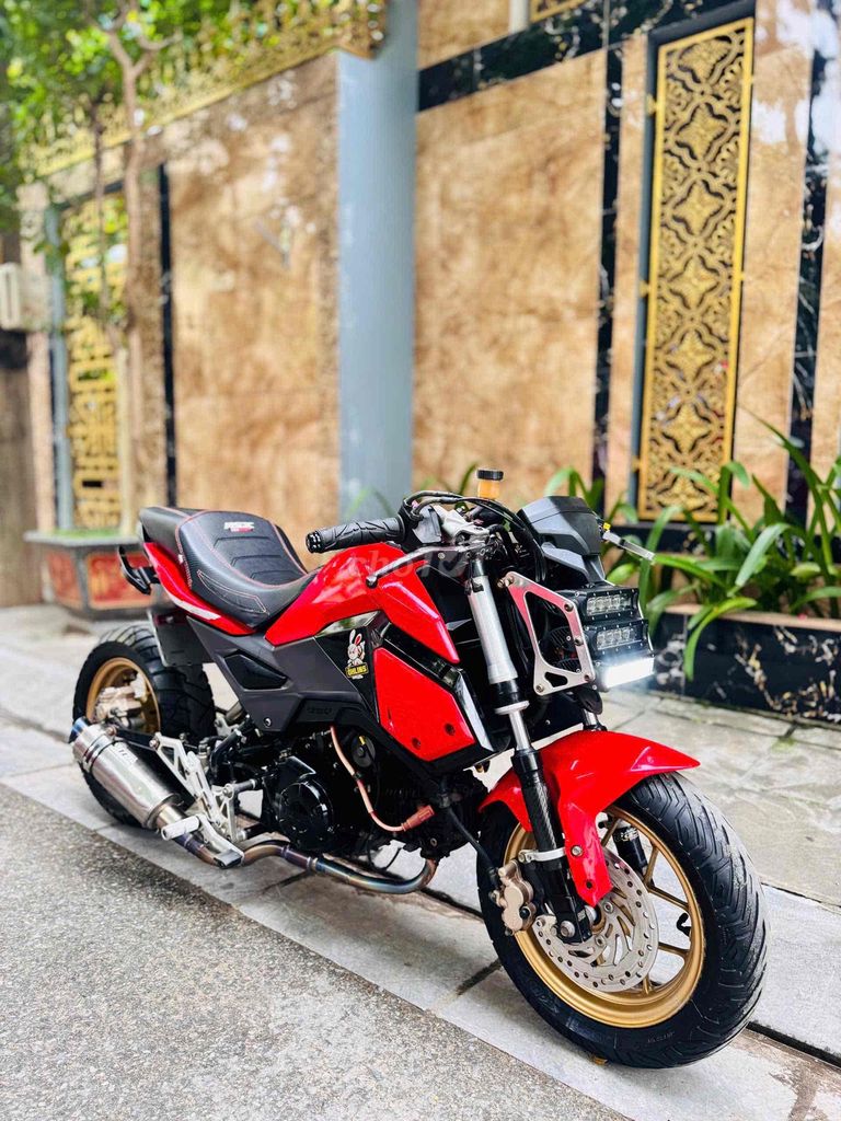 Honda MSX 2017 - ảnh 5