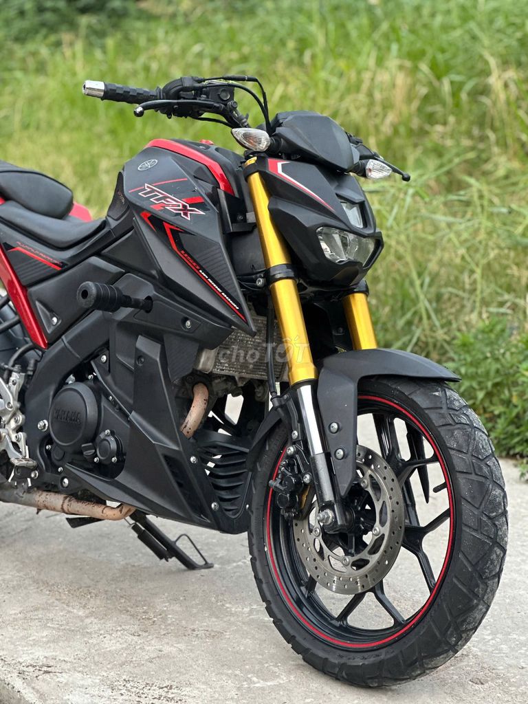 TFX 2020 - ảnh 2