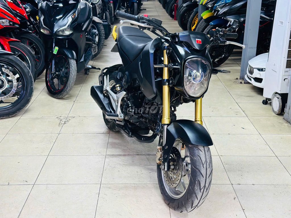 XE M 2019 - ảnh 1