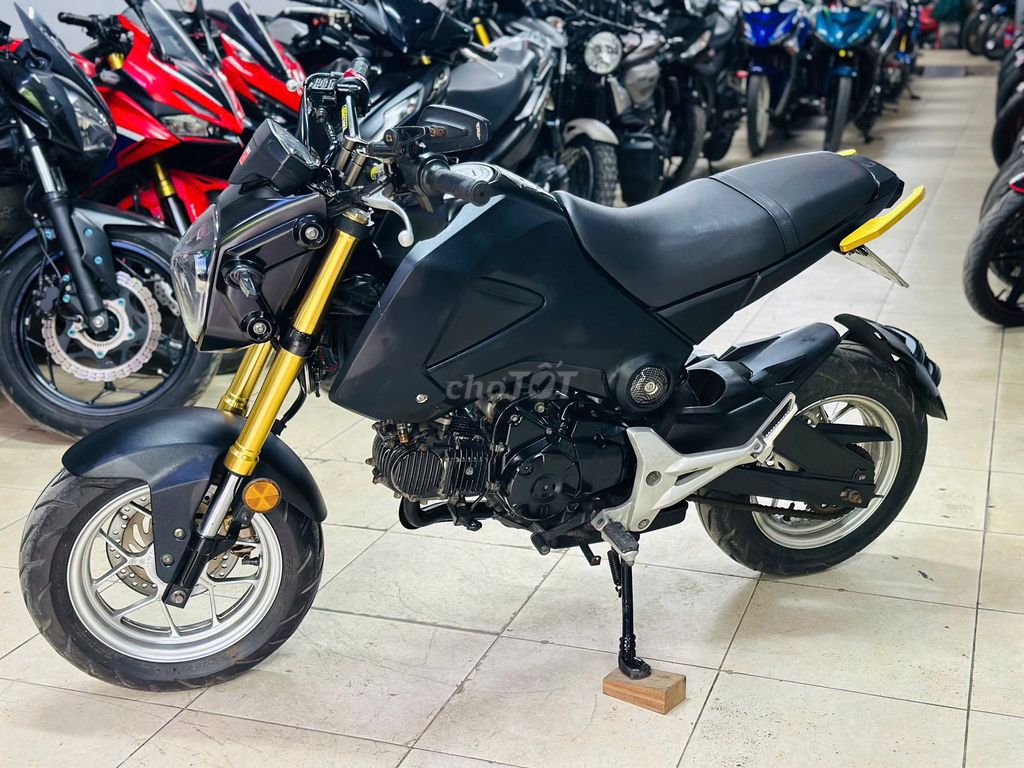 XE M 2019 - ảnh 3
