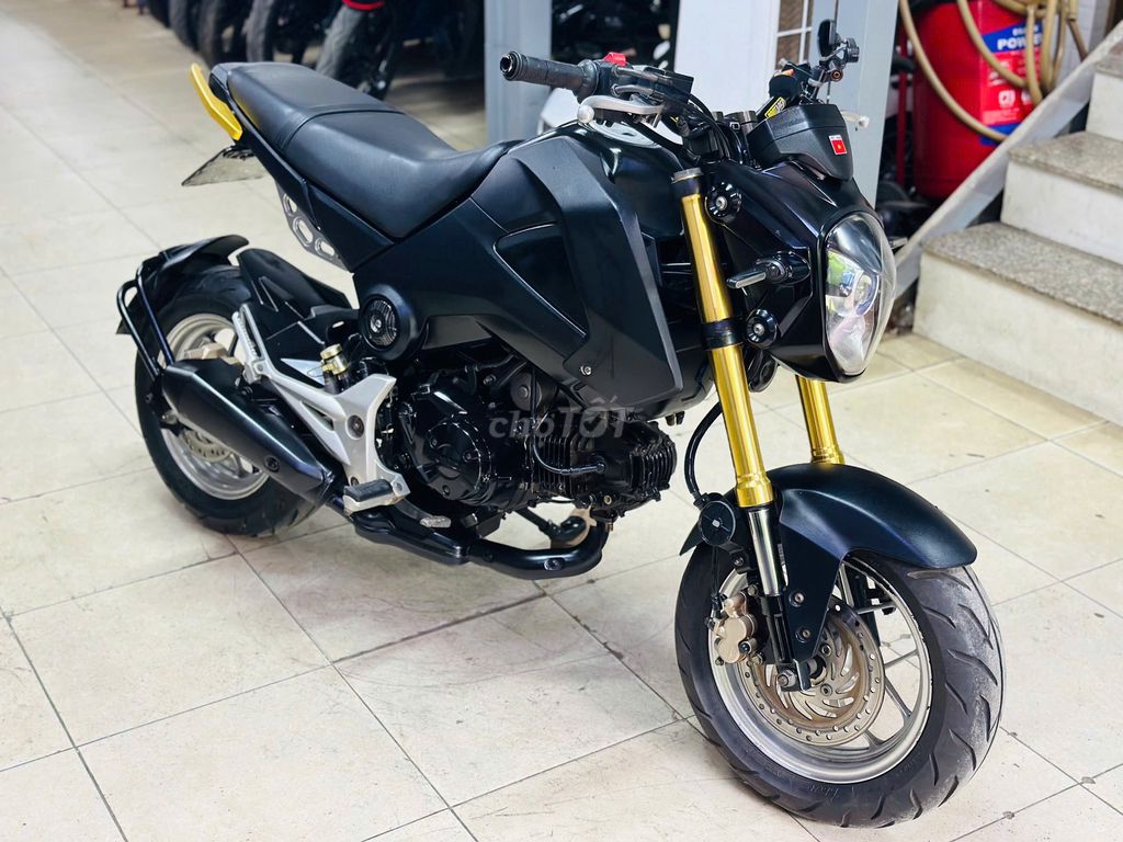 XE M 2019 - ảnh 4