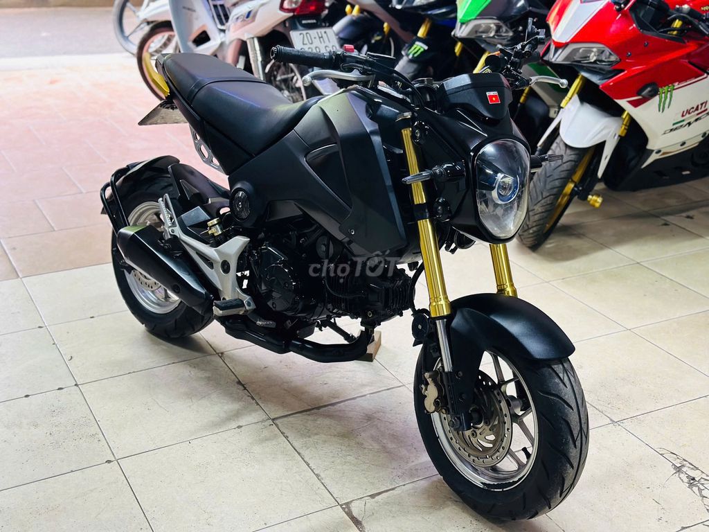 XE M 2019 - ảnh 5