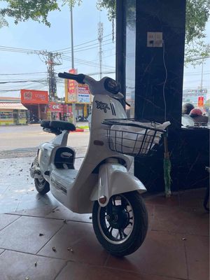 Xe m 2025 - ảnh 1