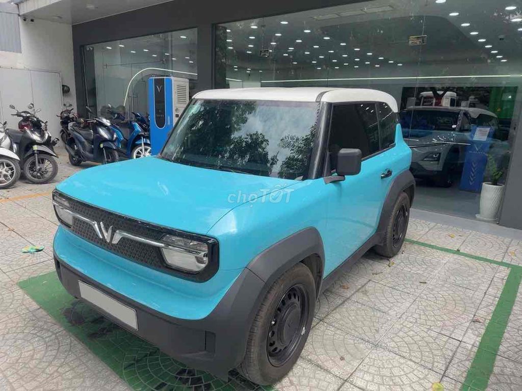 VinFast 2025 - ảnh 3
