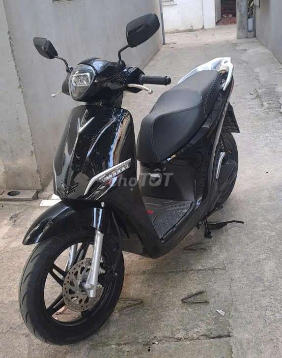 Xe m 2025 - ảnh 1