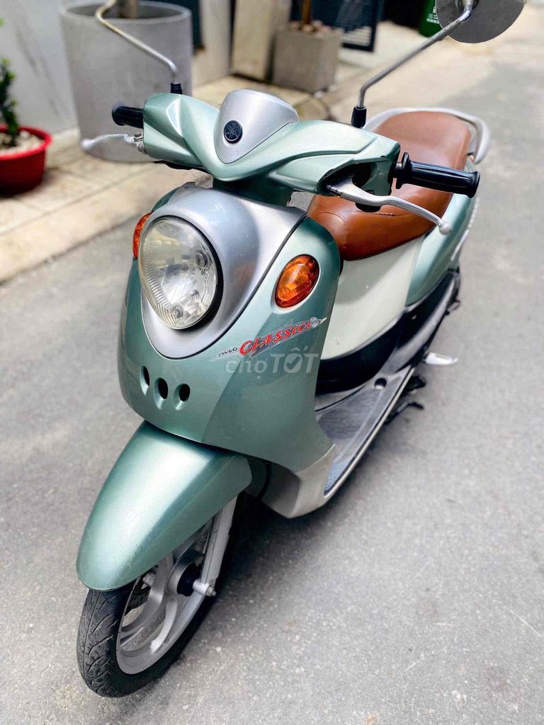 thanh l 2006 - ảnh 2