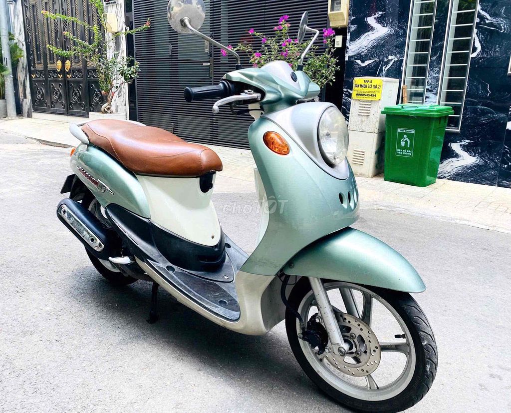 thanh l 2006 - ảnh 5