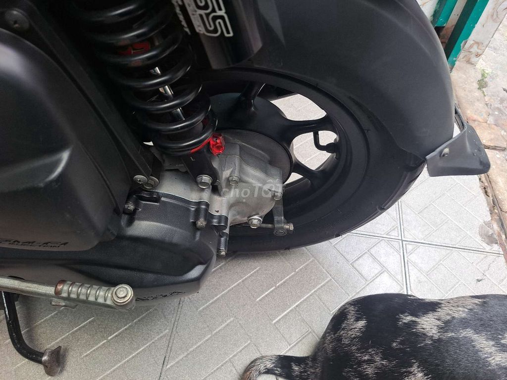 Honda zoomer 2013 - ảnh 2