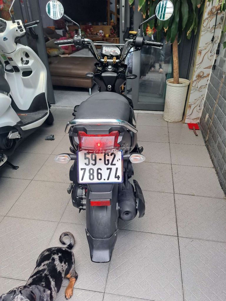 Honda zoomer 2013 - ảnh 3