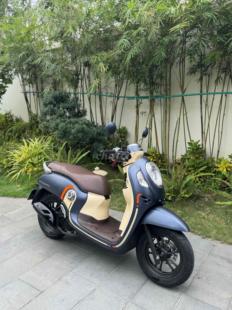 Scoopy 2022 - ảnh 1