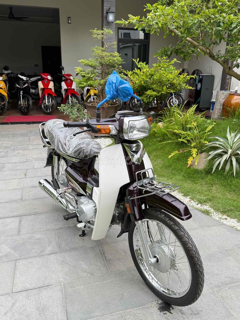 Honda 2013 - ảnh 1