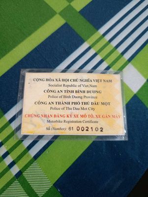 lên 2022 - ảnh 1