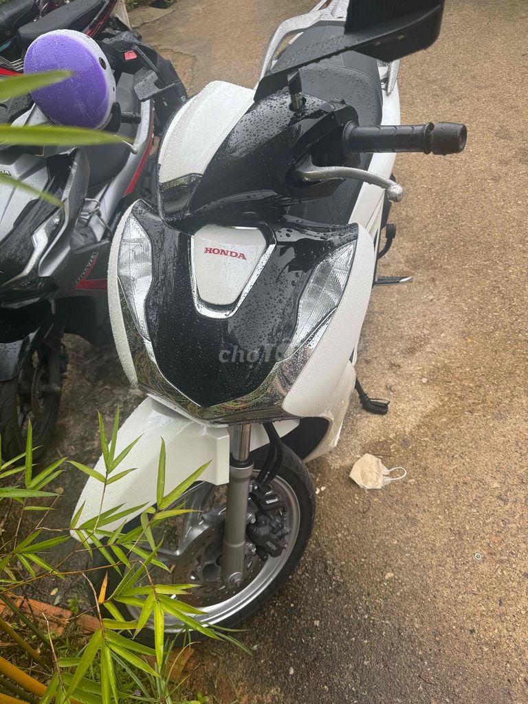 Honda SH 2020 - ảnh 1