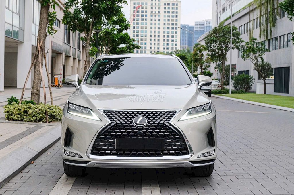 Lexus RX 300 2021 - ảnh 1
