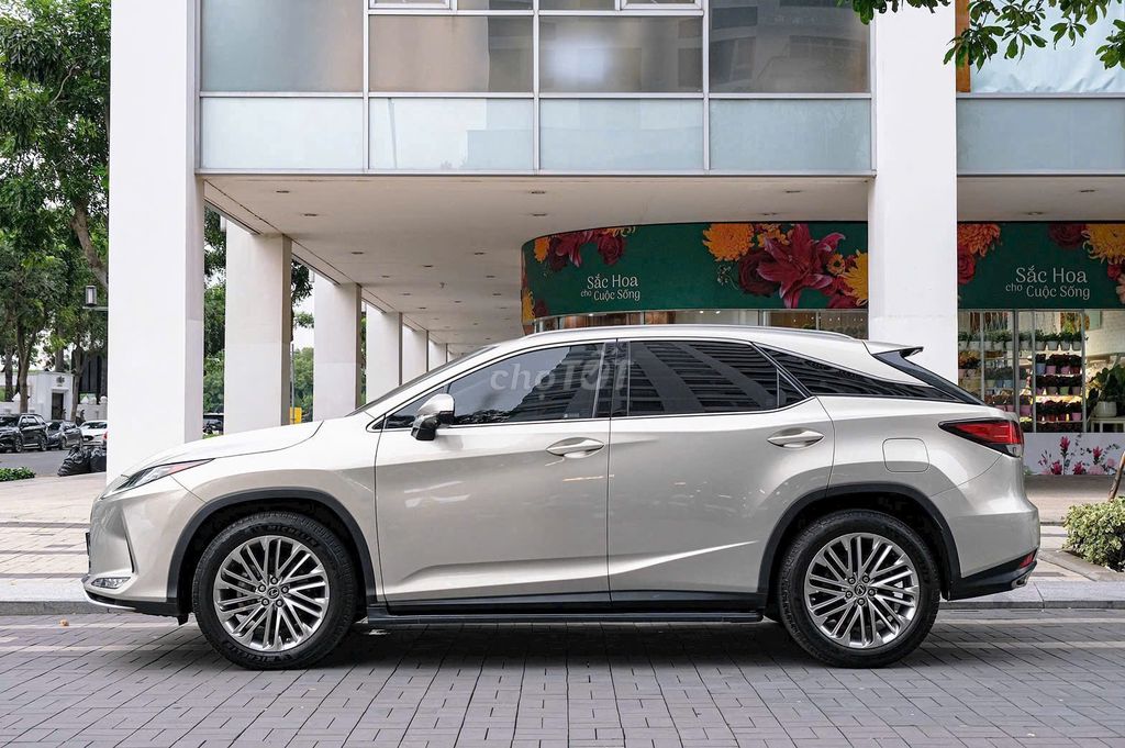 Lexus RX 300 2021 - ảnh 2