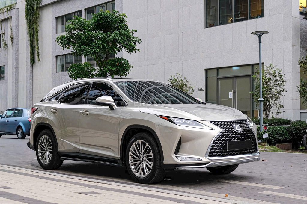 Lexus RX 300 2021 - ảnh 3