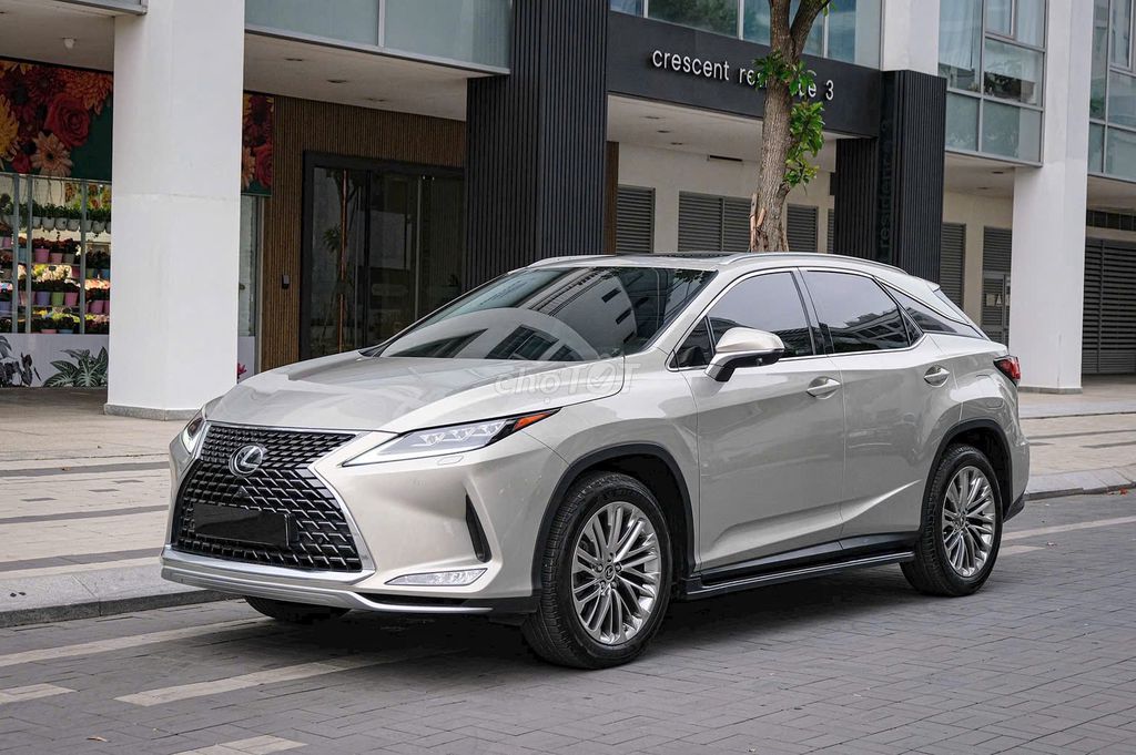 Lexus RX 300 2021 - ảnh 4