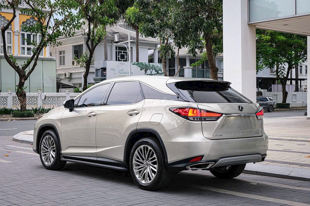 Lexus RX 300 2021 - ảnh 5