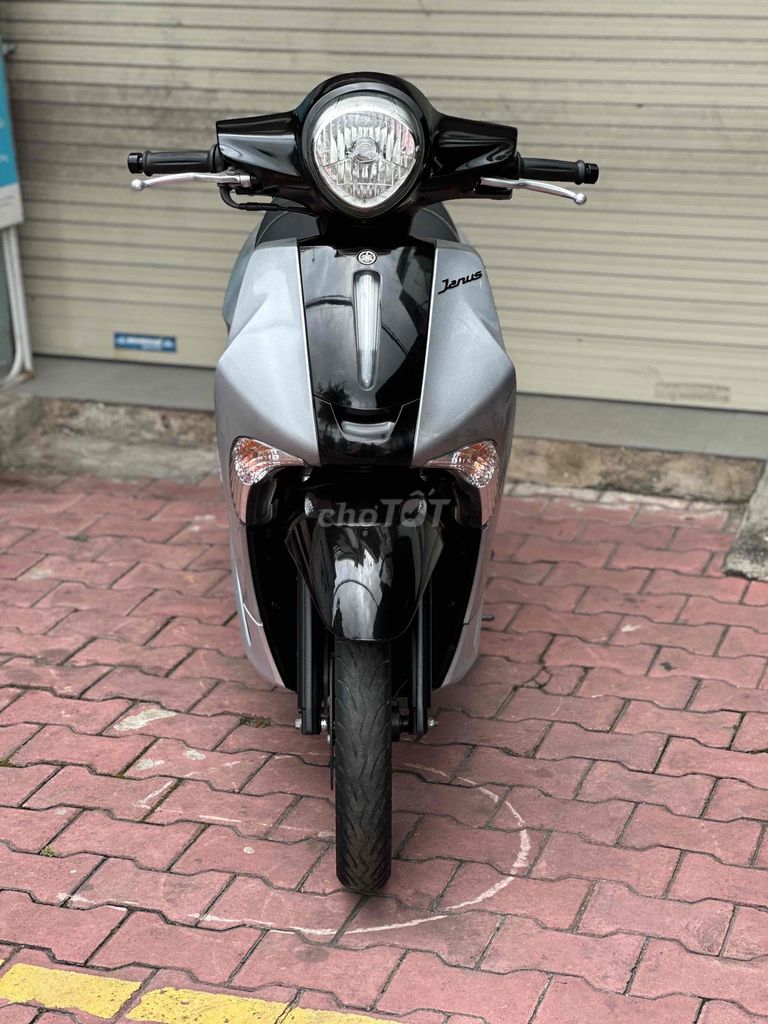 Yamaha Janus 2018 - ảnh 1