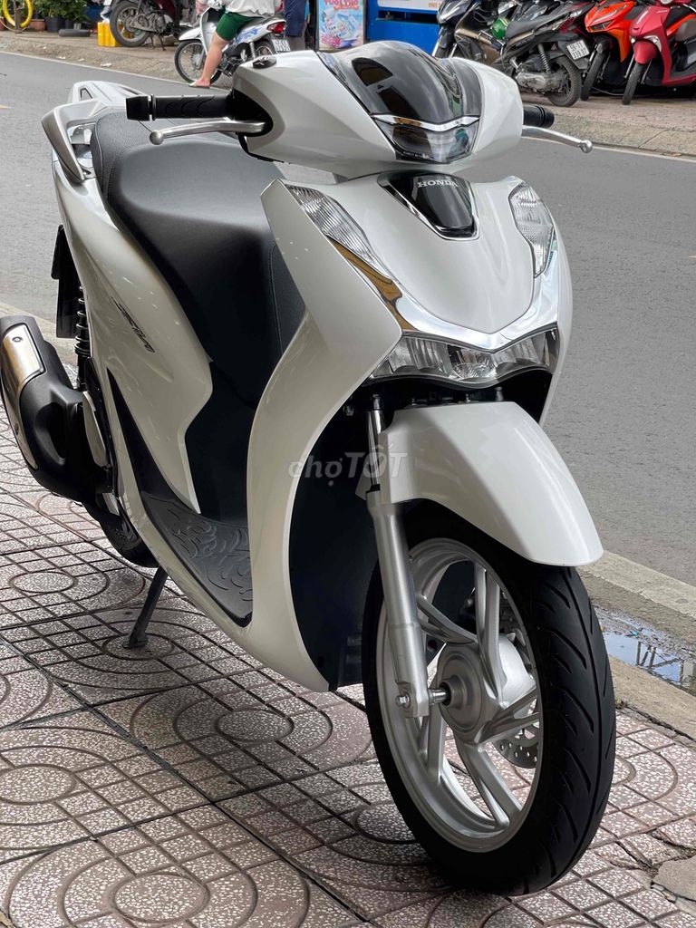 SHVN 2025 - ảnh 3