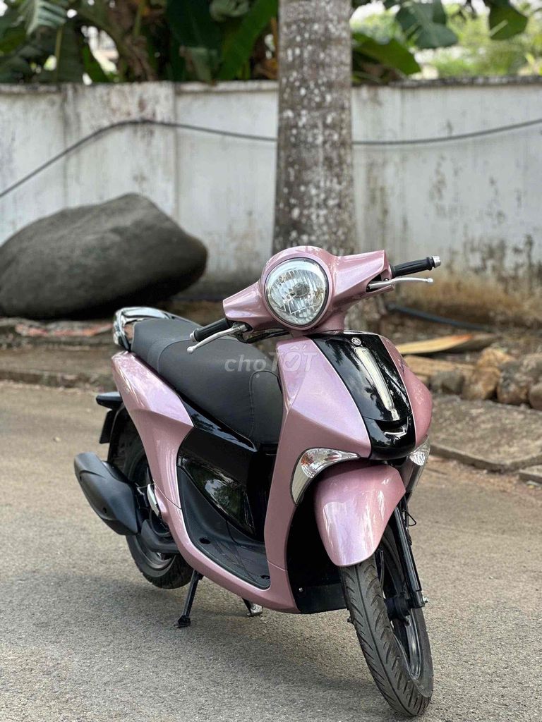 Yamaha Janus 2017 - ảnh 1