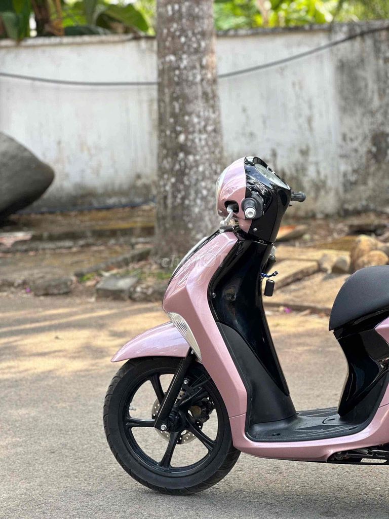 Yamaha Janus 2017 - ảnh 3