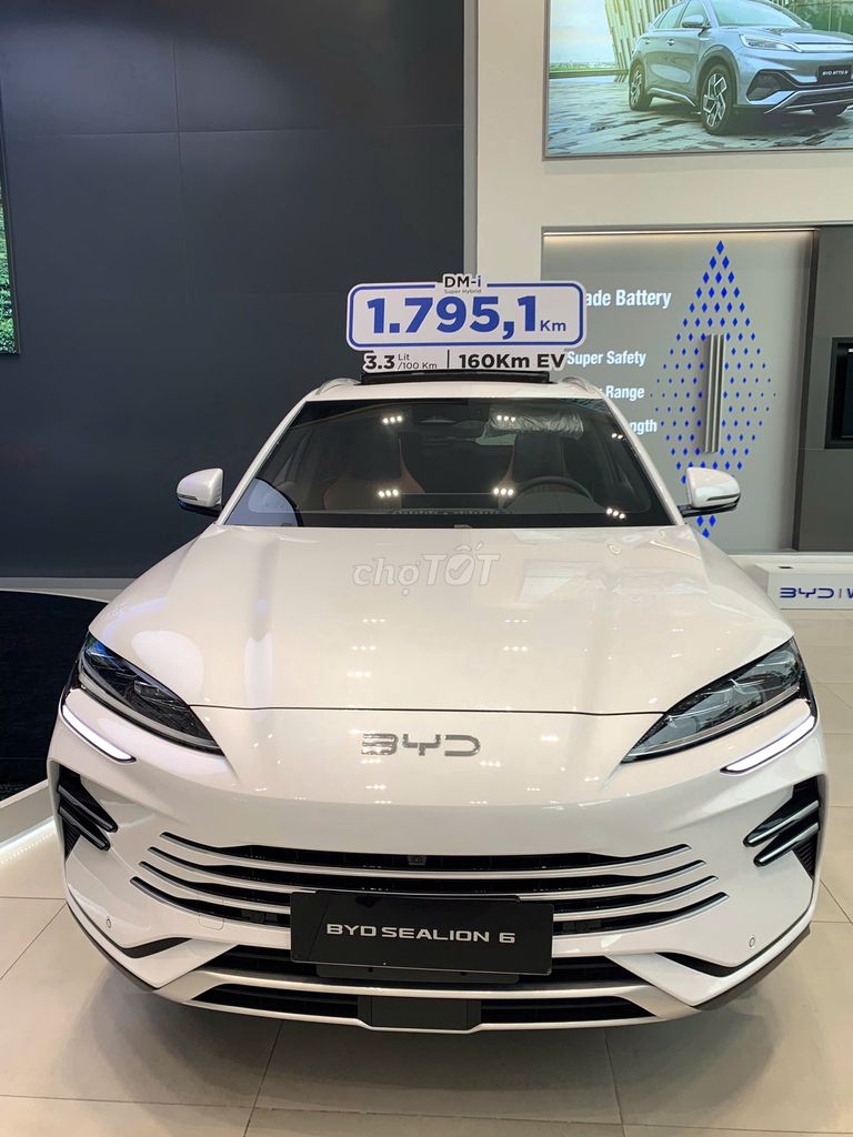 BYD 2025 - ảnh 2