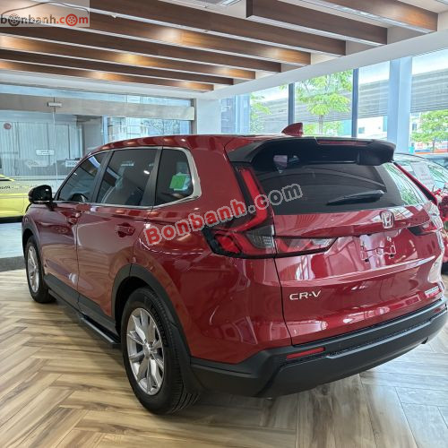 Honda CRV L 2026 - ảnh 5