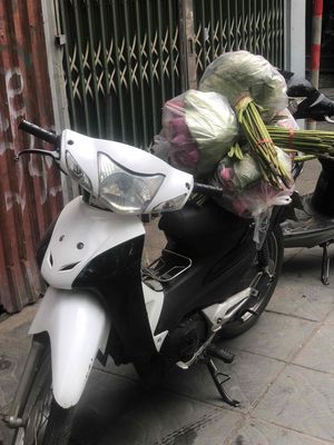cần b 2024 - ảnh 1